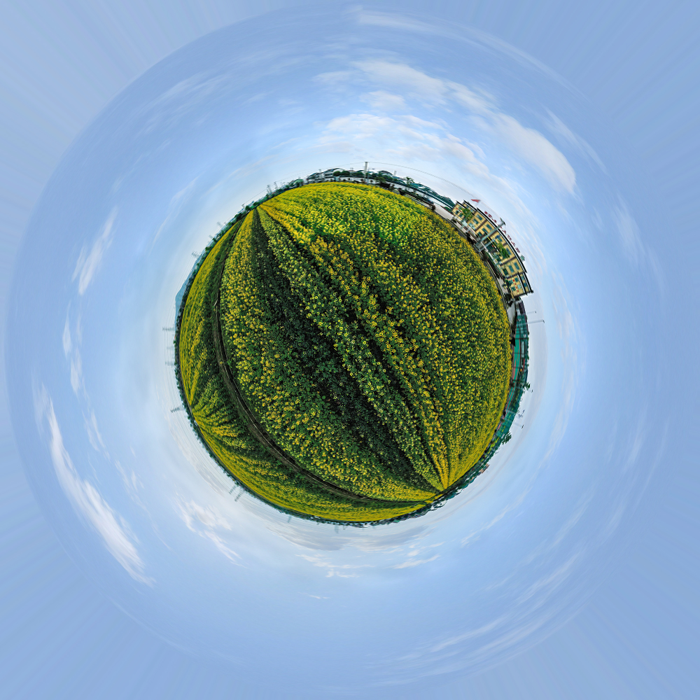 上虞花海vr全景地图