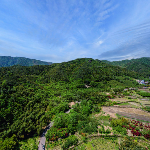 精栽梧桐 待凤来仪—2021年岭南招商地块VR全景